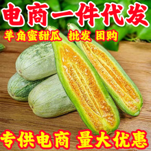 山东羊角蜜甜瓜水果新鲜当季整箱5斤包邮小密瓜香瓜蜜瓜羊角脆