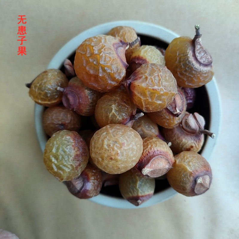 批发供应无患子菩提原料木患子原籽洗手果鬼见愁散装量大从优