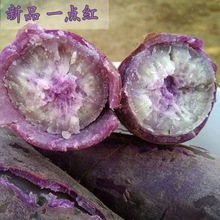 紫薯新鲜农家自种红薯一点红番薯冰淇淋现挖花心板栗薯5斤地瓜厂