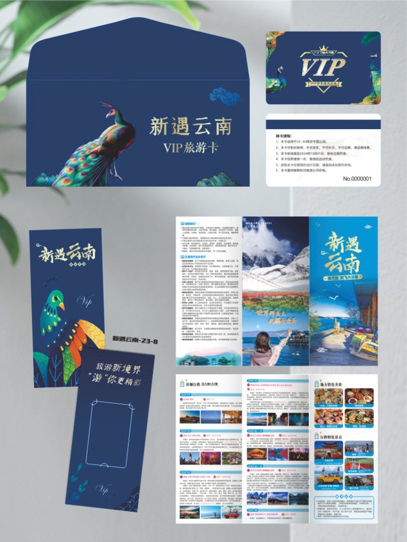 会员卡贵宾卡尊享体验钻石卡全国景区畅游行国内旅游卡通用年卡