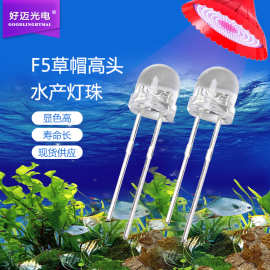 LED生鲜灯珠 F5草帽高头冷白光 5mm草帽高亮白色照水产海鲜专用