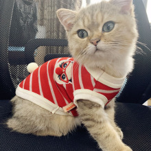 猫咪衣服春秋款夏天蓝猫布偶宠物小猫夏季猫猫幼猫防掉毛背心