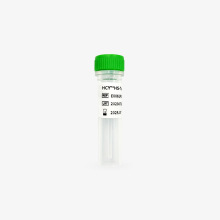 HCY? HS-Taq DNA Polymerase, HS-Taq DNA聚合酶 PCR应用耗材