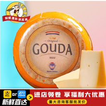 荷兰进口黄波芝士总统黄波高达奶酪车轮干酪约4.5kg左右原味即