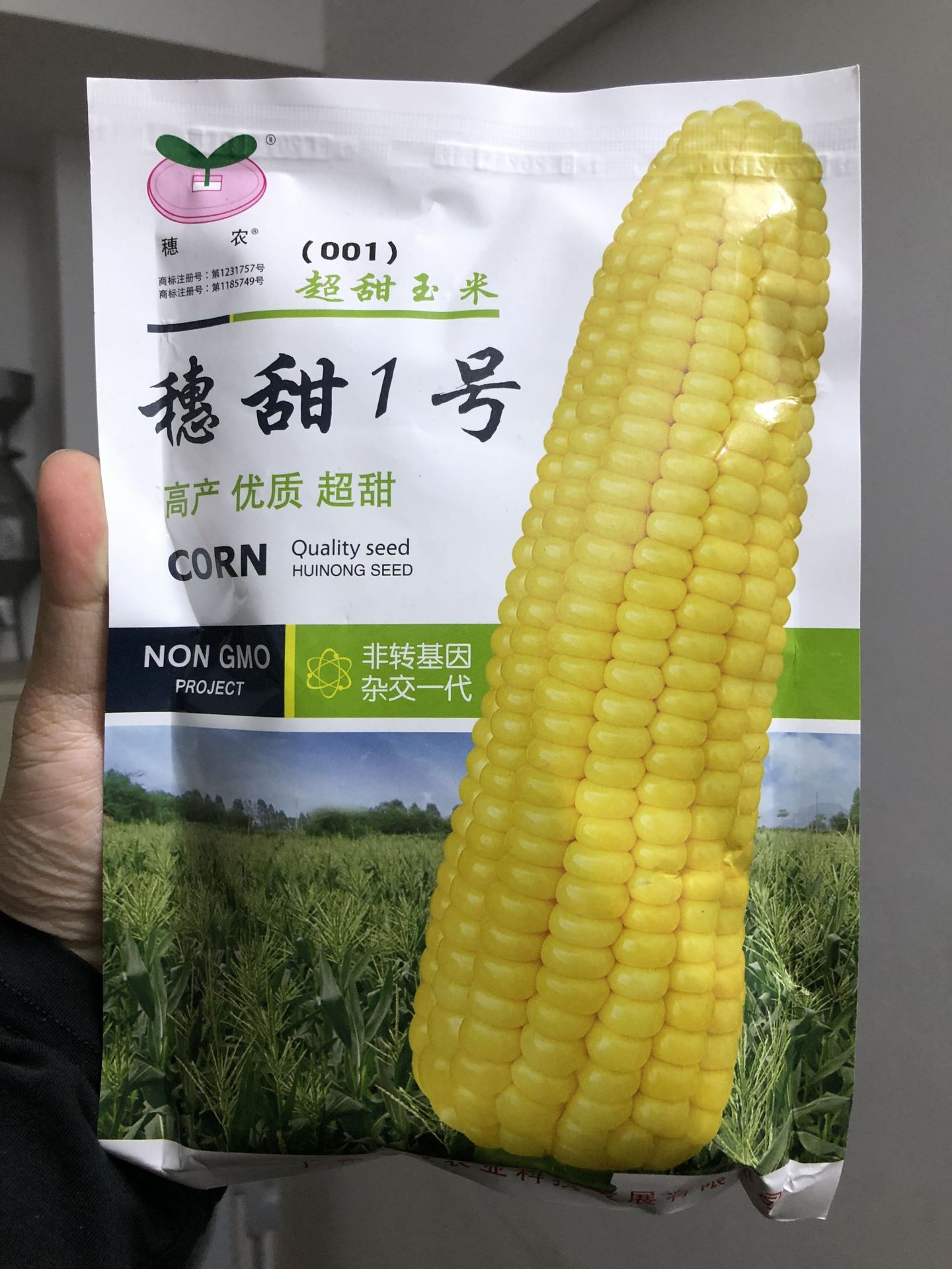 200克甜玉米种子:穗甜1号玉米种子 杂交一代 水果玉米 超甜玉米