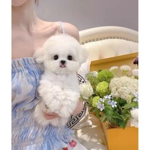 ȮʲôƷ_ʲôƷ_ʲôƷ