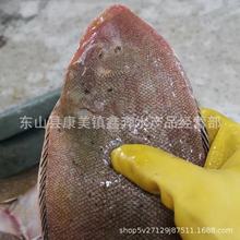 新鲜踏板鱼牛舌鱼野生舌头鱼龙利鱼深海鱼半斤一条鳎目鱼5斤包邮