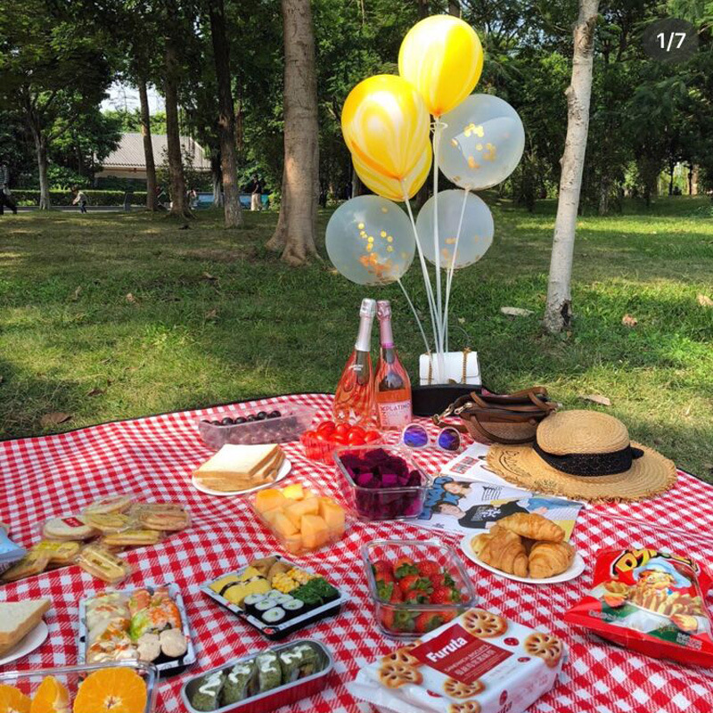 野餐用品春游垫子野餐垫ins户外便携防水郊游野炊网红地垫子防潮