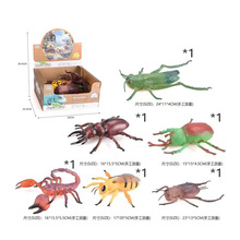 跨境仿真大号昆虫动物摆件沙盘场景儿童科教认知动物昆虫玩具模型