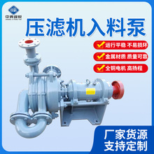 厂家定制压滤机入料泵65SYA洗煤加压杂质泵供水入料给料泵抽沙泵