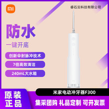 Xiaomi米家冲牙器F300米家电动洗牙器家用便携水牙线牙齿口腔清洁