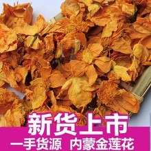 批发供应金莲花新货 内蒙金莲花 烘干无添加另有花果茶茶叶