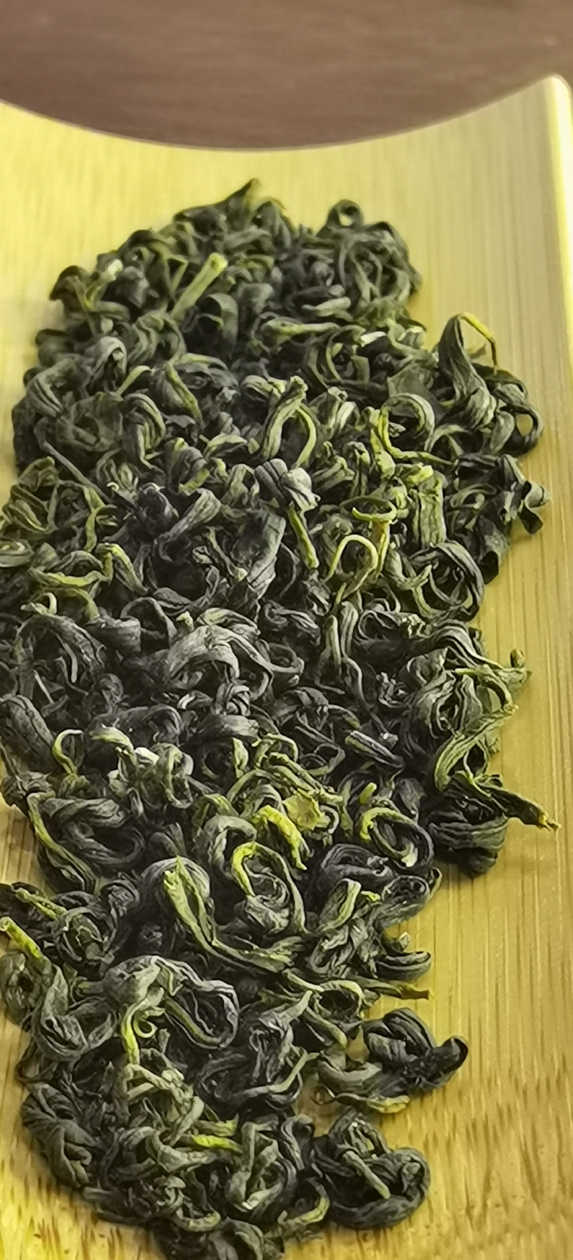 都匀毛尖茶*新茶高山云雾茶*绿茶*茶叶*源头工厂