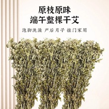 整棵干艾草叶坐月子洗澡泡脚包批发新鲜家用陈艾叶草散装艾蒿