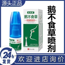 鹅不食草喷剂草本苍耳子油鼻塞通气流涕干痒濞炎急性慢性鼻窦喷剂