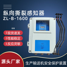 ZL-B皮带机纵向撕裂感知器保护装置 B1200主机防输送带撕裂检测仪