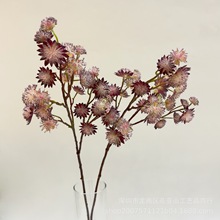 仿真 星芹花假花点状花材装饰蒲公英 自然系花艺配材