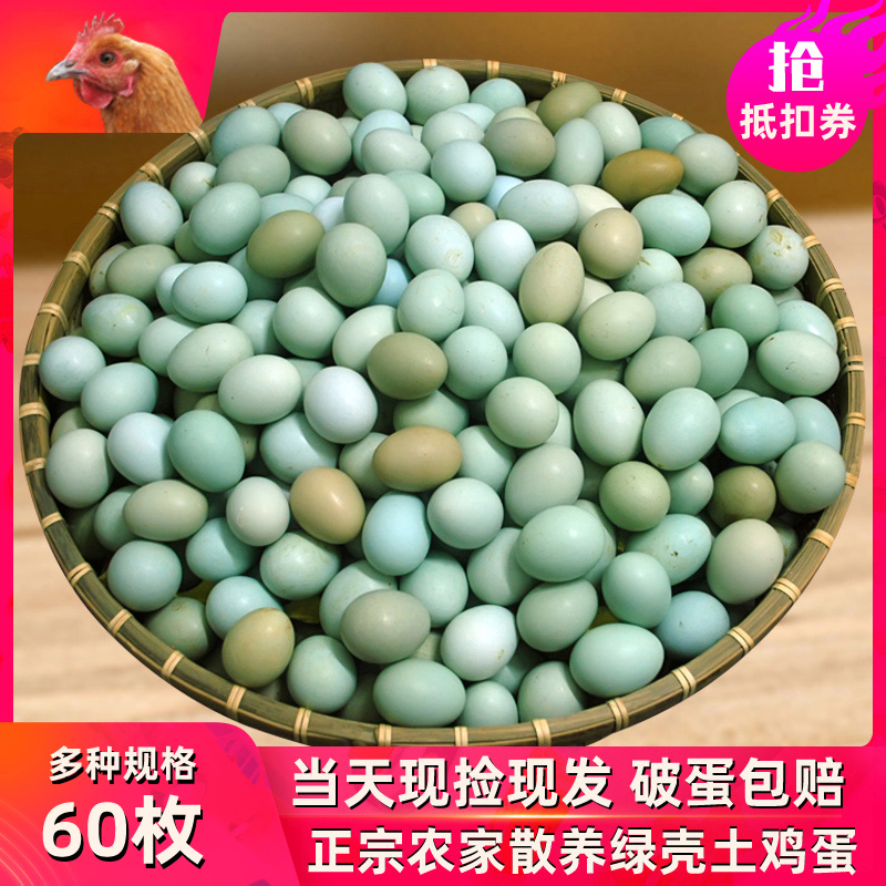 绿壳山鸡蛋60枚整箱生鸡蛋新鲜农家散养土鸡蛋15枚初生乌鸡蛋