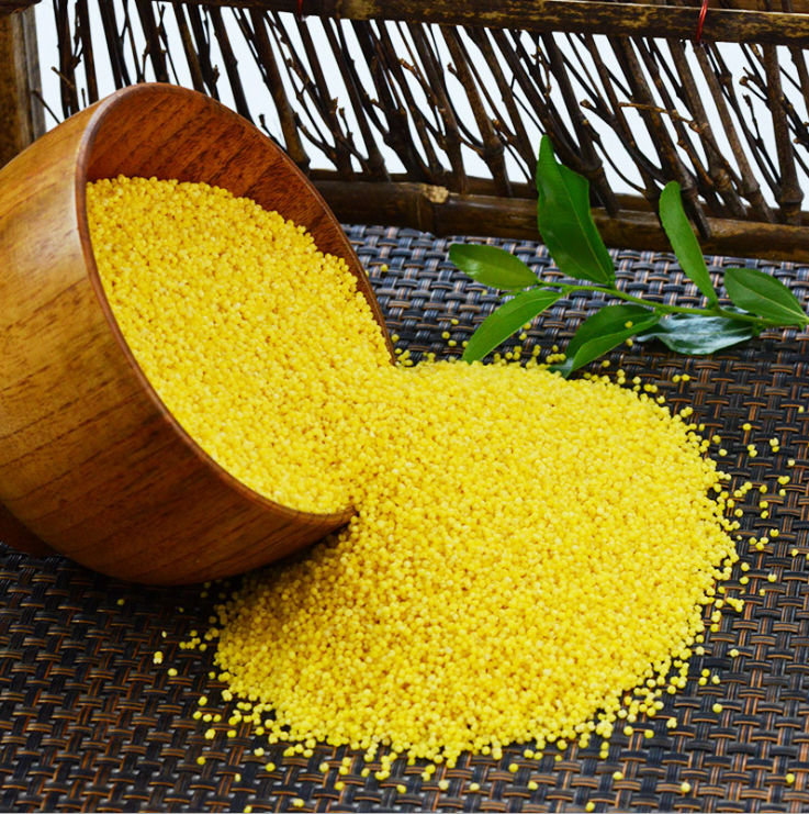 敖汉有机黄小米新米500g/袋内蒙特产小米杂粮敖汉发源地醇香
