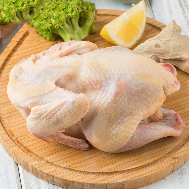 崇明童子鸡800g 生鸡肉乳鸡西装鸡整只农家鸡冷冻鸡半成品 批发