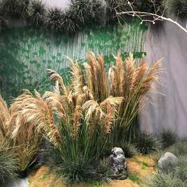 家居仿真芦苇草植物天然店铺单支绢花商场店面造景室内绿植