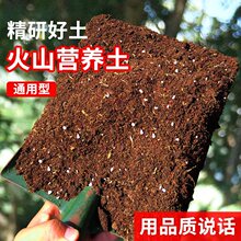 营养土云南腾火山岩土山乌龟养花通用型多肉盆栽植物种菜花肥