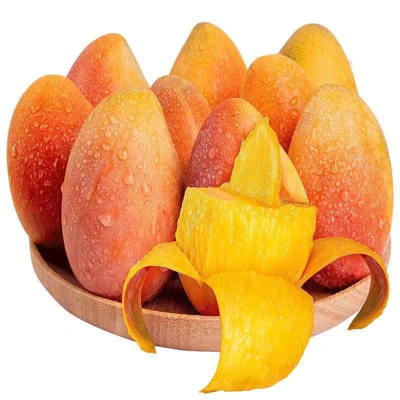 海南贵妃芒3/5/10斤装生鲜水果红金龙小贵妃芒果整箱批发包邮