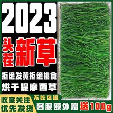 提摩西干草23年头茬提摩西草优质一整箱猪兔子草段烘干晒干叶仓鼠