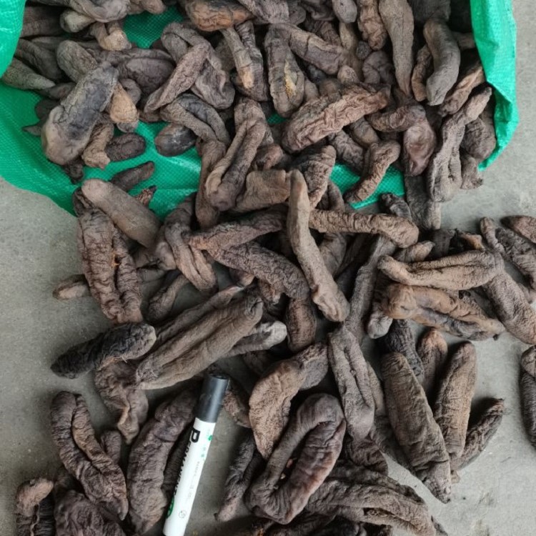 淡大茄参 海茄子参 海番薯 原货无添加 个大肉厚 高涨发-阿里巴巴