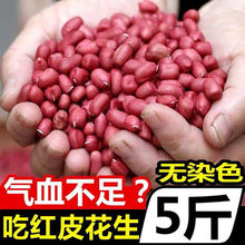 红皮花生米22年新花生米批发新货农家自产红衣小四粒生跨境速卖通