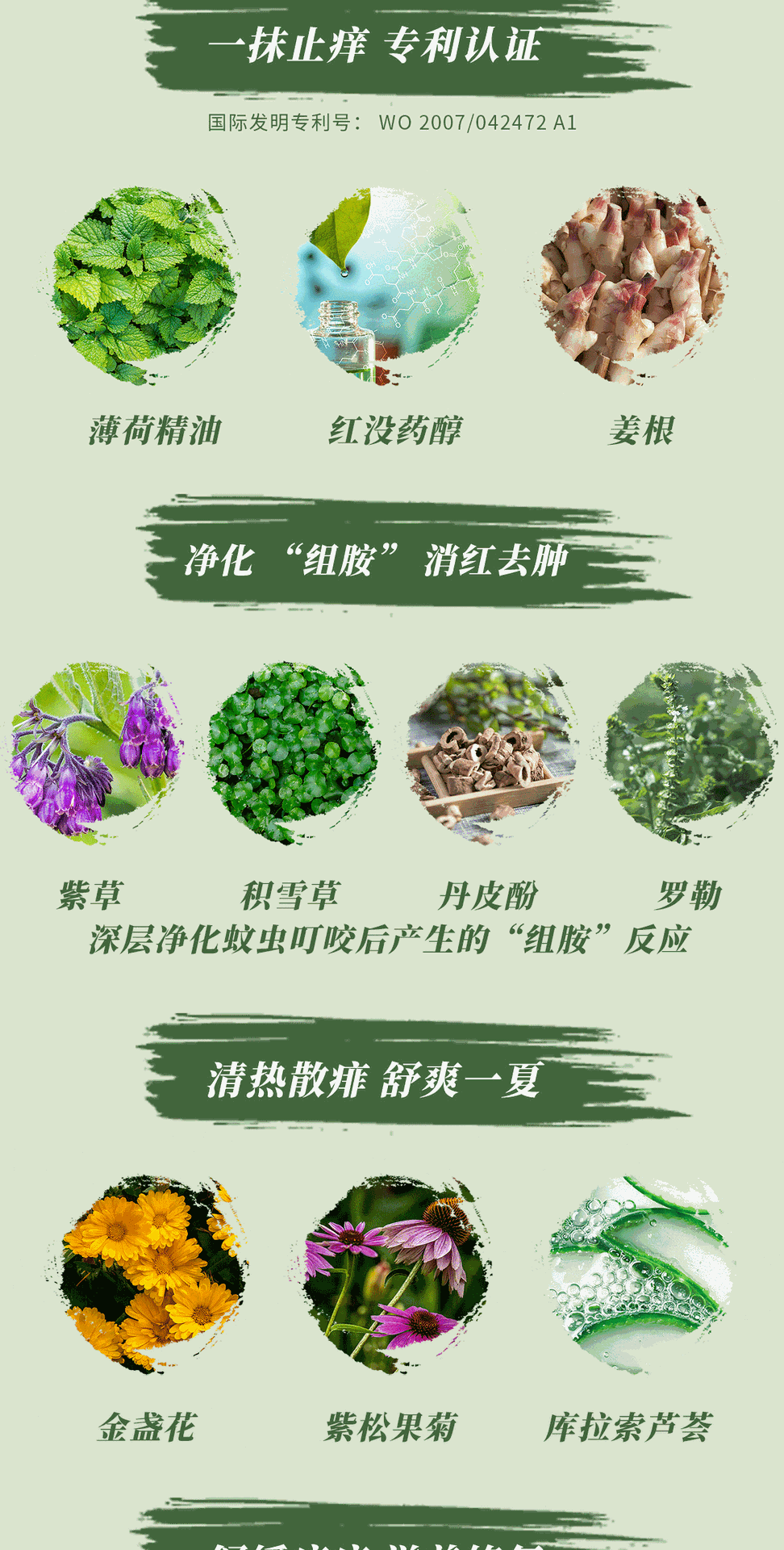 澳洲haab紫草薄荷膏止痒膏驱蚊叮咬醒脑舒缓天然草本儿童孕妇8g