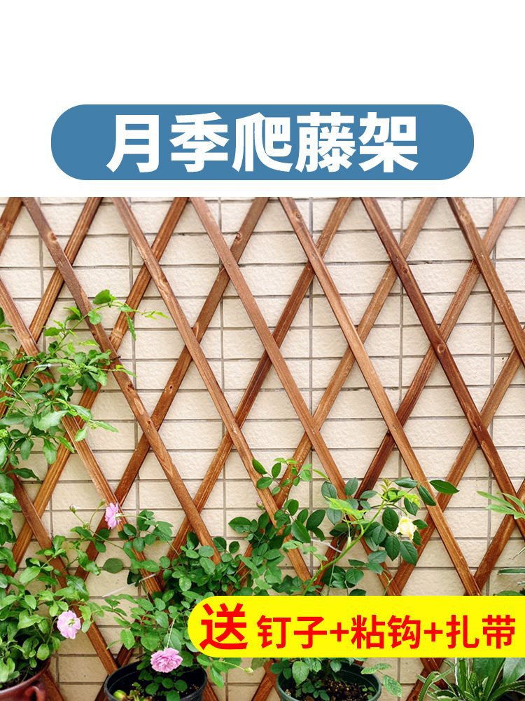 防腐木栅栏墙上壁挂月季蔷薇花架爬藤架伸缩围栏庭院网格户外支架