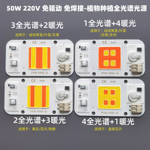 跨境热销免驱动线性高压220V COB光源全光谱植物花卉果蔬生长灯珠