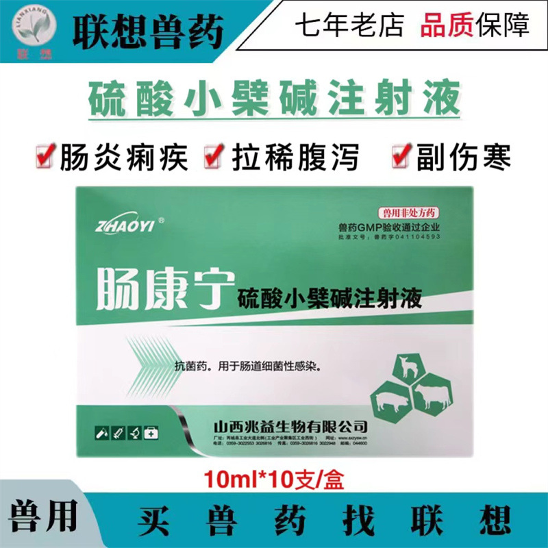 硫酸小檗碱注射液兽药肠康宁兽用猪马牛羊肠炎痢疾拉稀腹泻
