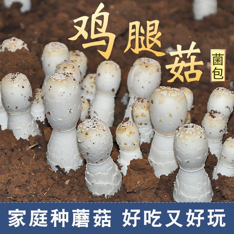 生产加工资质证书>更多公司信息>员工人数:5 人以上所在地:三明市