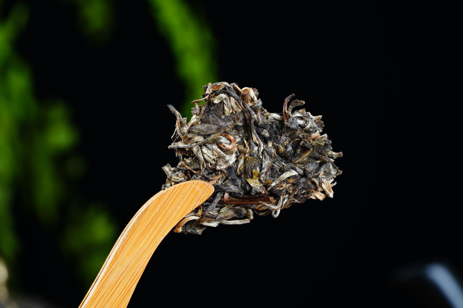 易武古树麻黑普洱生茶云南七子饼头春纯料生普大叶种茶批发代理