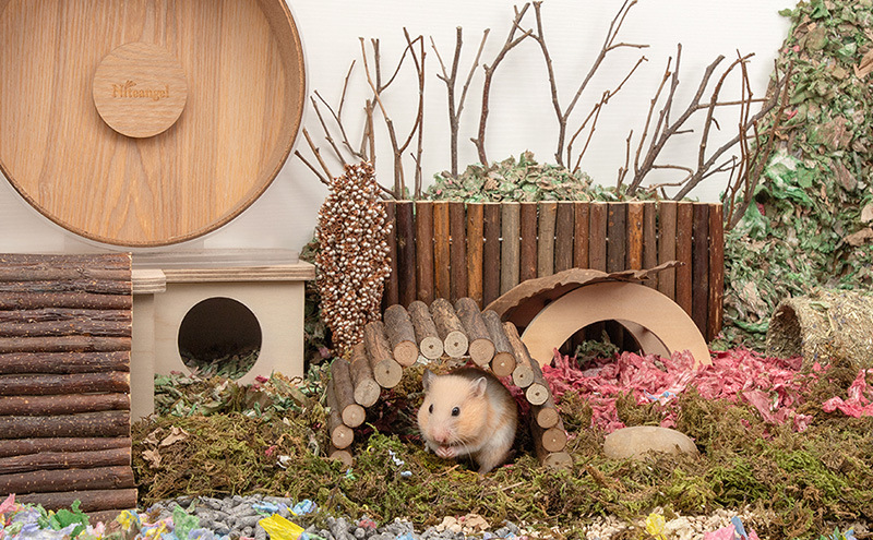 仓鼠造景用品 仓鼠拱桥躲避屋爬梯磨牙玩具 仓鼠窝鹦鹉躲藏窝围栏