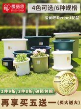 爱丽思Deepot深型月季铁线莲树脂花盆爱丽丝塑料加仑盆绣球控根盆