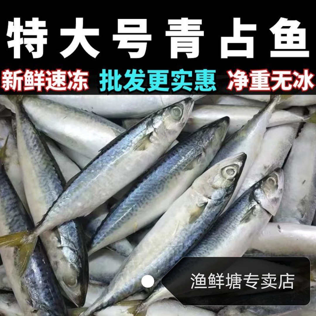 kc青鱼青花鱼6斤毛速冻青鱼青占鱼鲐鱼鲐鲅鱼马鲛鱼鲭鱼青花鱼鲅