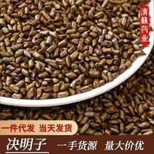 批发宁夏决明子散装玩具沙枕芯填充生决明子中药材炒熟决明子茶