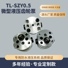 TL-SZY0.5微型液压齿轮泵 微型高压齿轮泵 微型双向高压齿轮泵