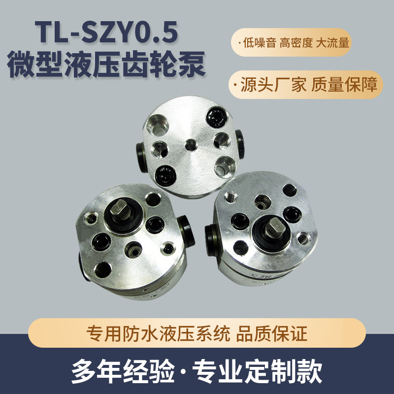 TL-SZY0.5微型液压齿轮泵 微型高压齿轮泵 微型双向高压齿轮泵