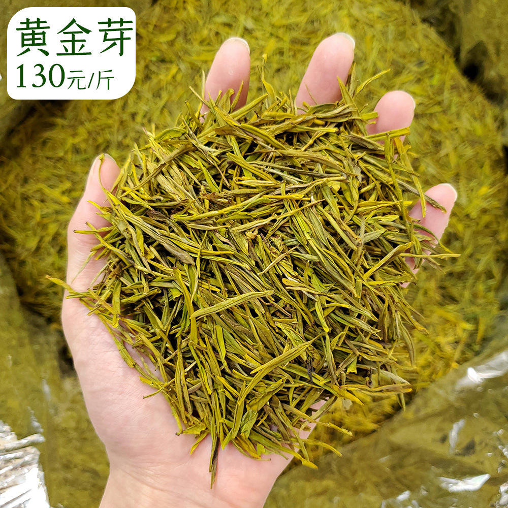黄金芽茶叶批发2022新茶上市黄金叶白茶货源高山绿茶高香口粮茶叶