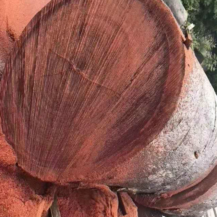 红铁木原木大板销售 非洲红铁木渔排 优价红铁木枕木-阿里巴巴