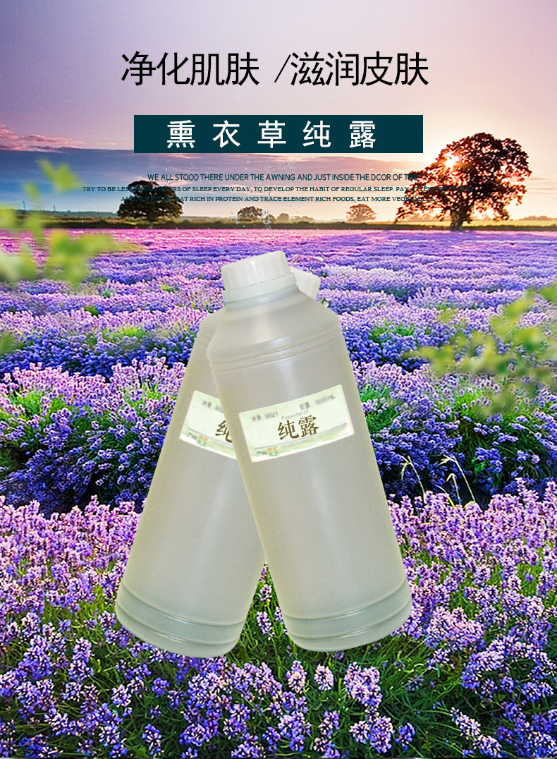 薰衣草纯露批发 薰衣草花水纯露 精油提取 纯露