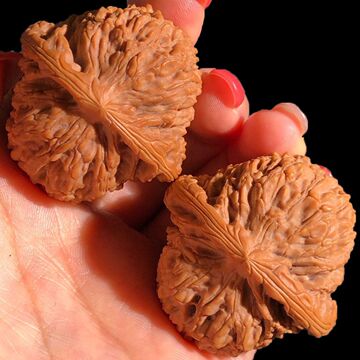 文玩核桃四座楼狮子头虎头官帽手玩核桃初学者苹果园白狮子头