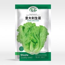 意大利四季生菜种子种籽耐抽苔春季夏季四季盆栽菜籽蔬菜种孑籽种