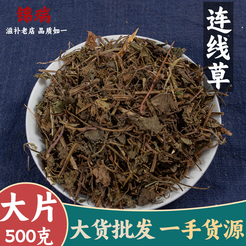 连线草 遍地香铜钱草透骨风可打粉 亳州中药材批发中草药药食同源