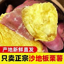 板栗薯新鲜沙地红薯批发10斤蜜黄心山芋1斤现挖地瓜厂家直发混批