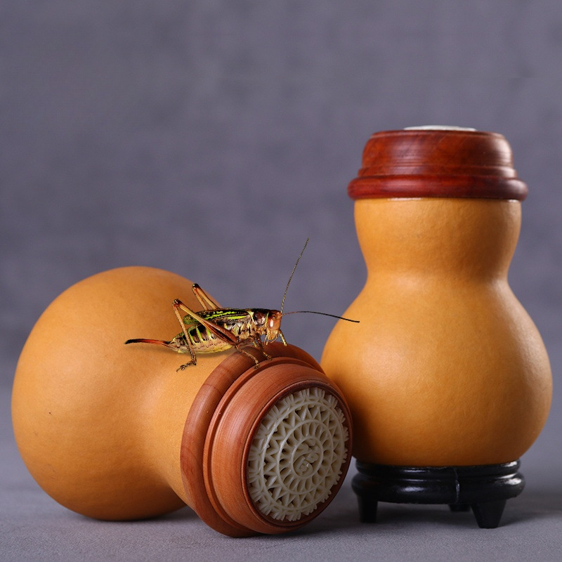 单肚无簧蛐蛐虫罐蝈蝈葫芦叫罐笼子文玩本长竹蛉扎嘴有簧口盖蒙心